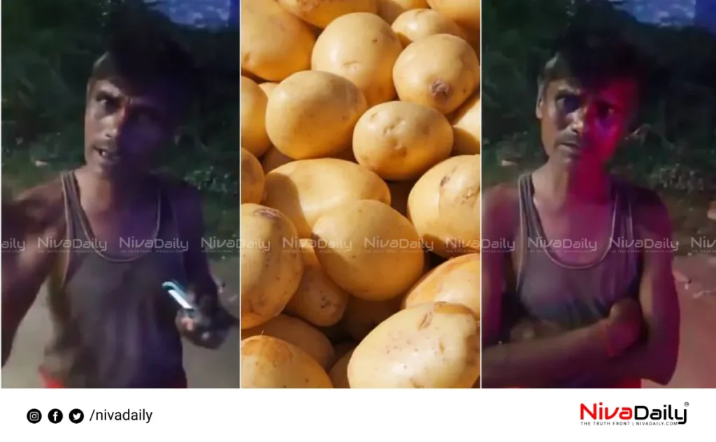 drunk man calls police missing potatoes