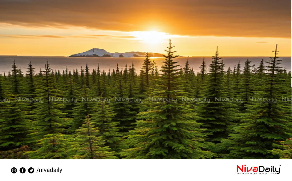 Antarctica ancient forests