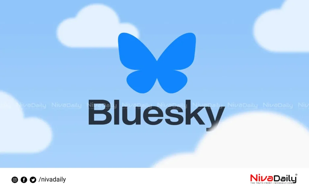 BlueSkys operations disrupted