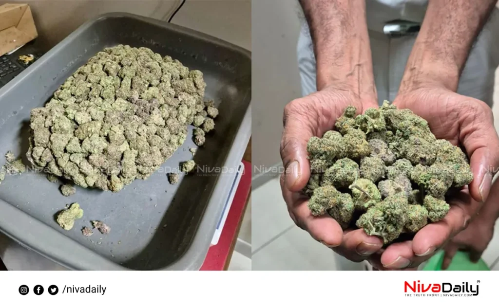 Nedumbassery Airport cannabis seizure