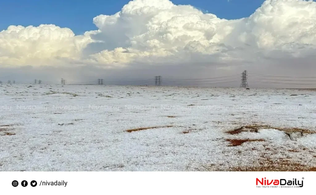 Saudi Arabia snowfall