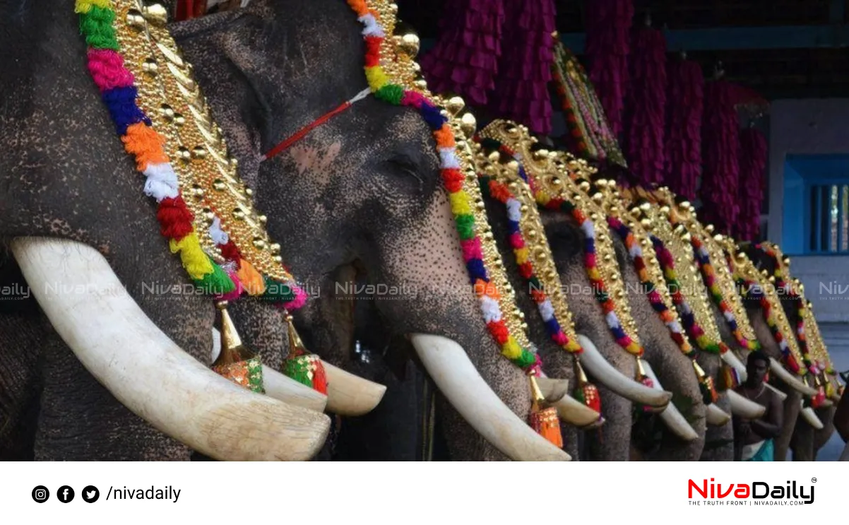 elephant processions Kerala