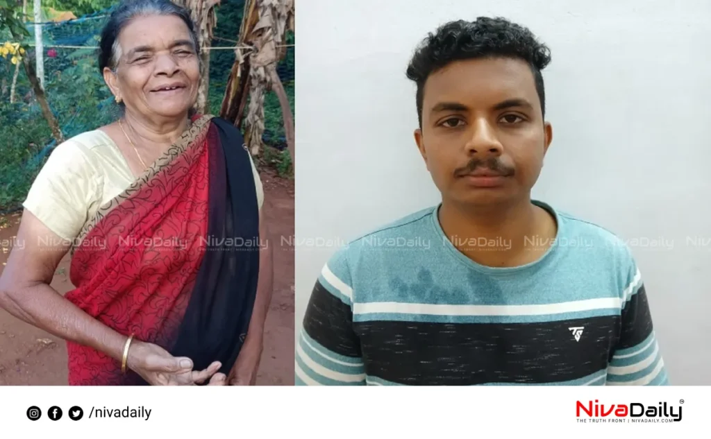 Grandson kills grandmother Sultan Batheri