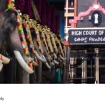 elephant procession guidelines