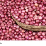 Kerala onion price hike