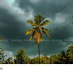 Kerala heavy rainfall alert