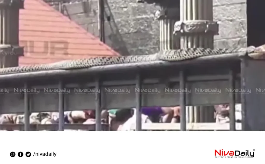 Sabarimala snake incident