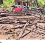 Kollimoola tribal hut demolition