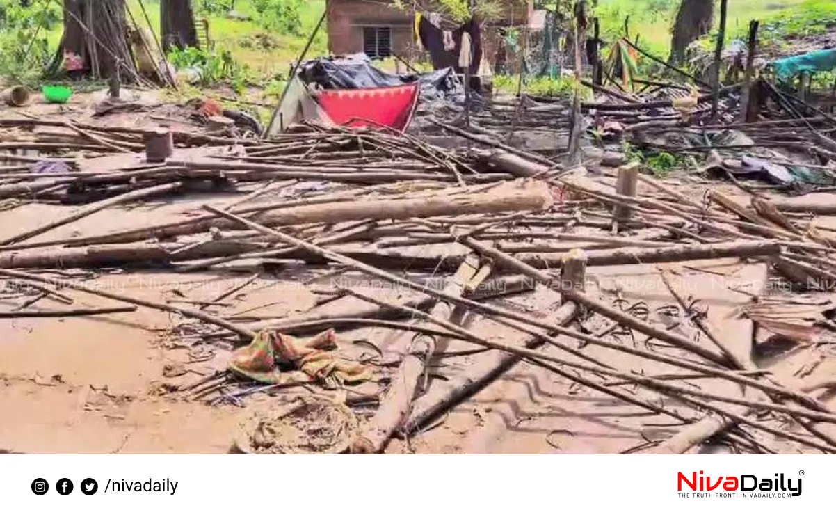 Kollimoola tribal hut demolition