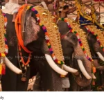 Thiruvambadi Devaswom Thrissur Pooram guidelines