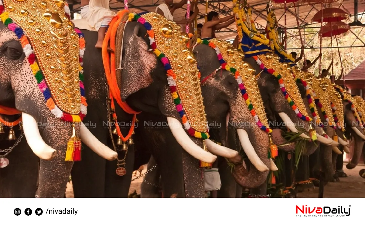 Thiruvambadi Devaswom Thrissur Pooram guidelines