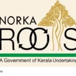 NORKA Roots Saudi Arabia doctor recruitment