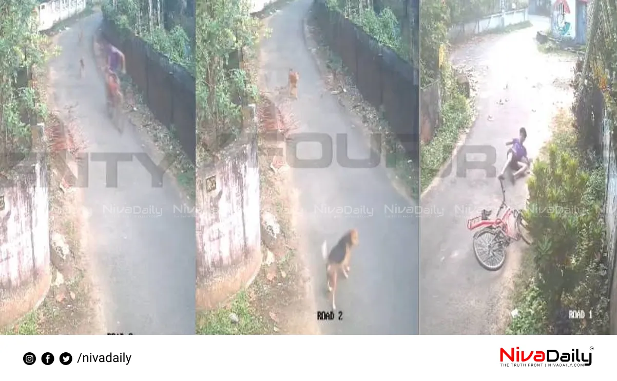 stray dog attack Thrissur