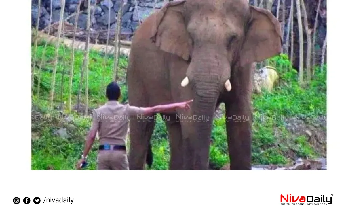 Kerala police elephant road crossing