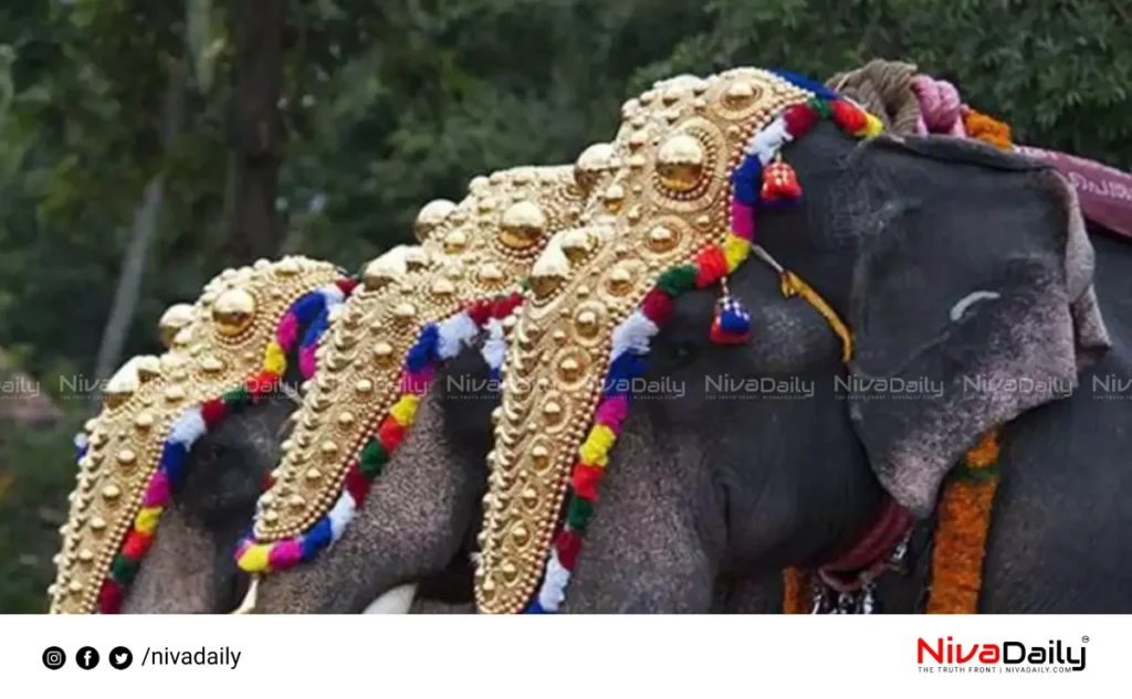 CPI elephant rules Kerala festivals