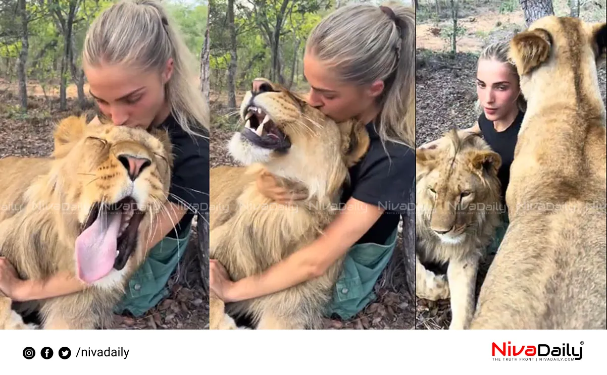 woman cuddling lions viral video