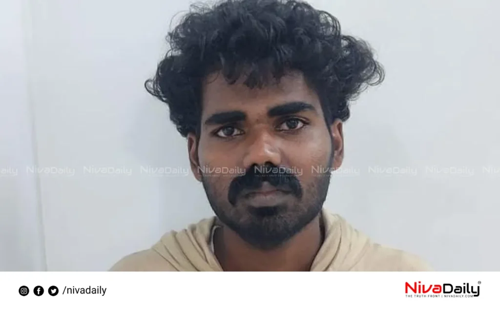 POCSO accused arrested Aluva