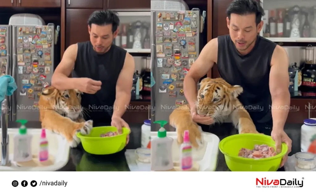 viral baby tiger video