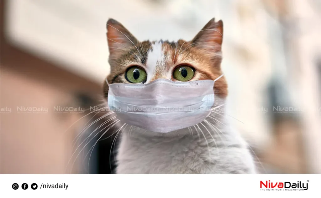 cats transmit bird flu