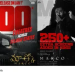 Marco box office success