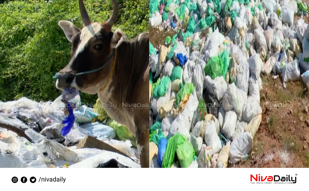 Kerala hospital waste Tirunelveli