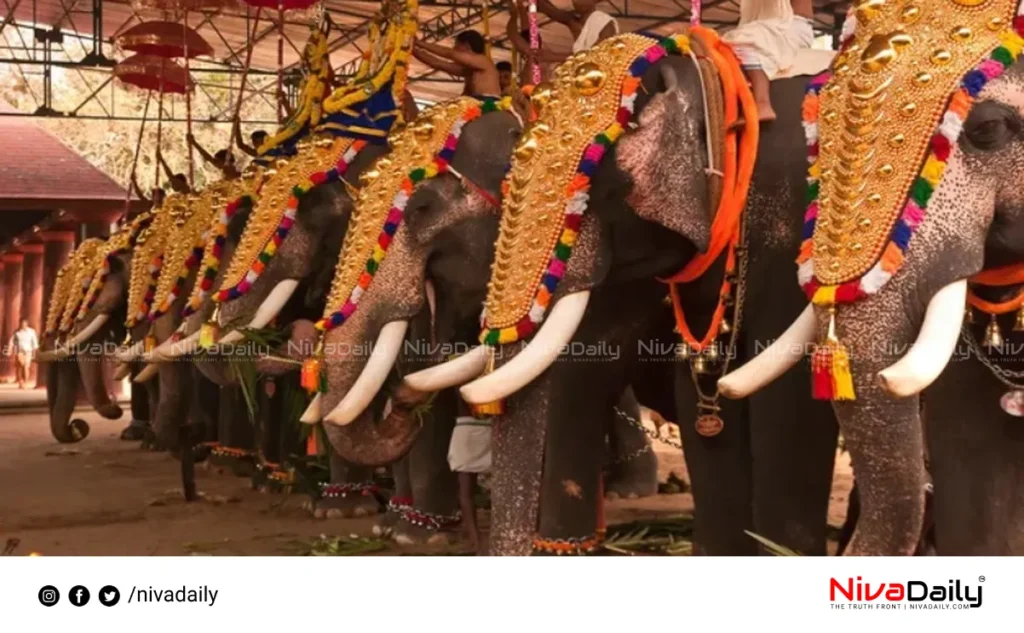 Kerala temple elephant procession protest