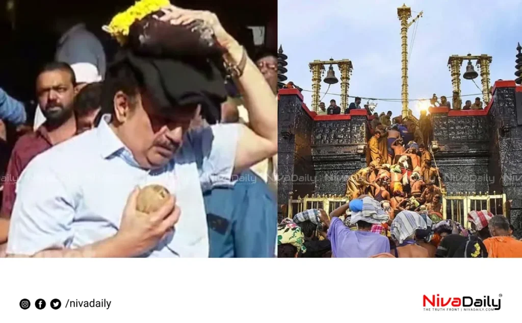 Sabarimala arrangements