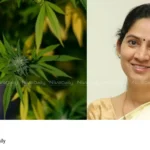 Kerala MLA son ganja