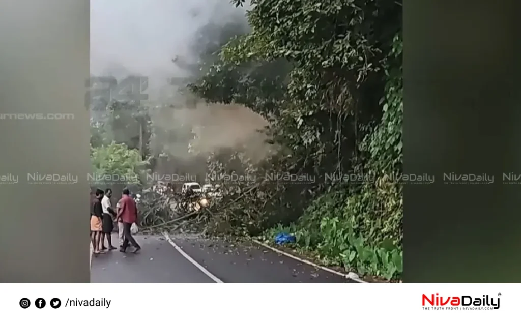 Kerala elephant accident student death