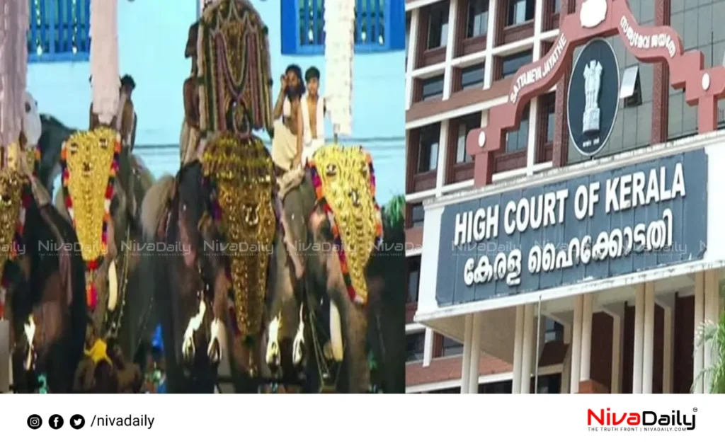 Kerala High Court elephant procession