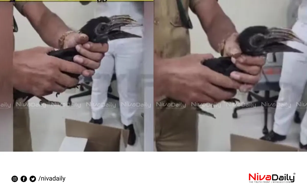 rare birds smuggling Nedumbassery Airport