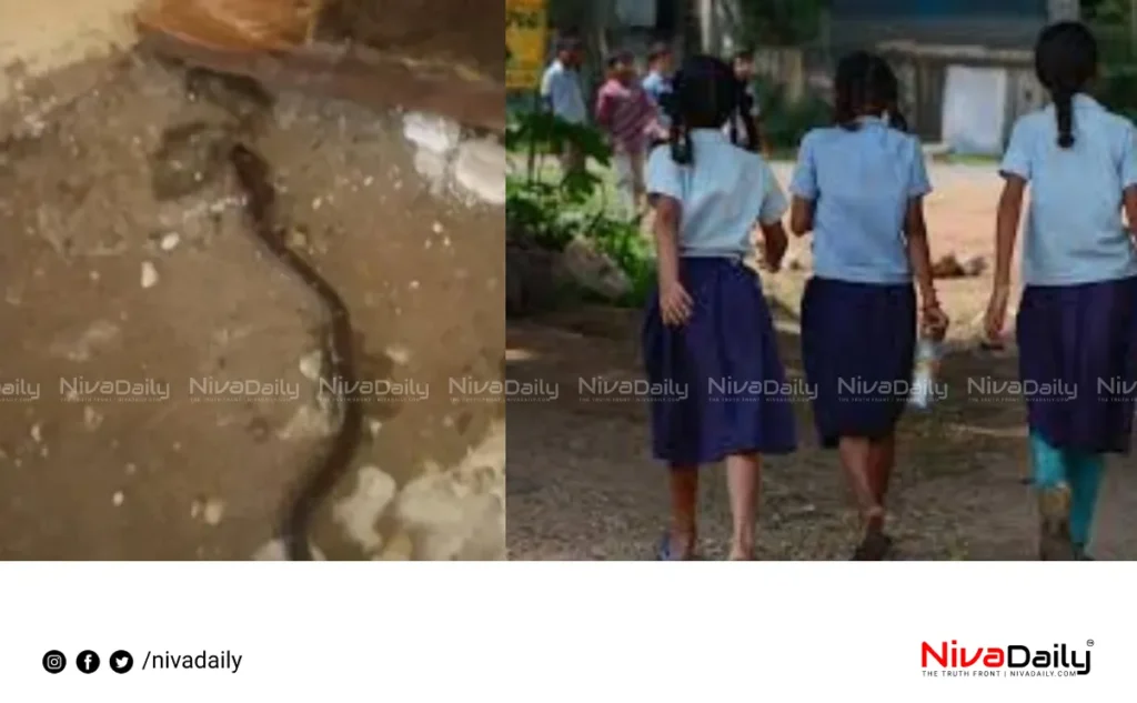 Kerala school snake bite