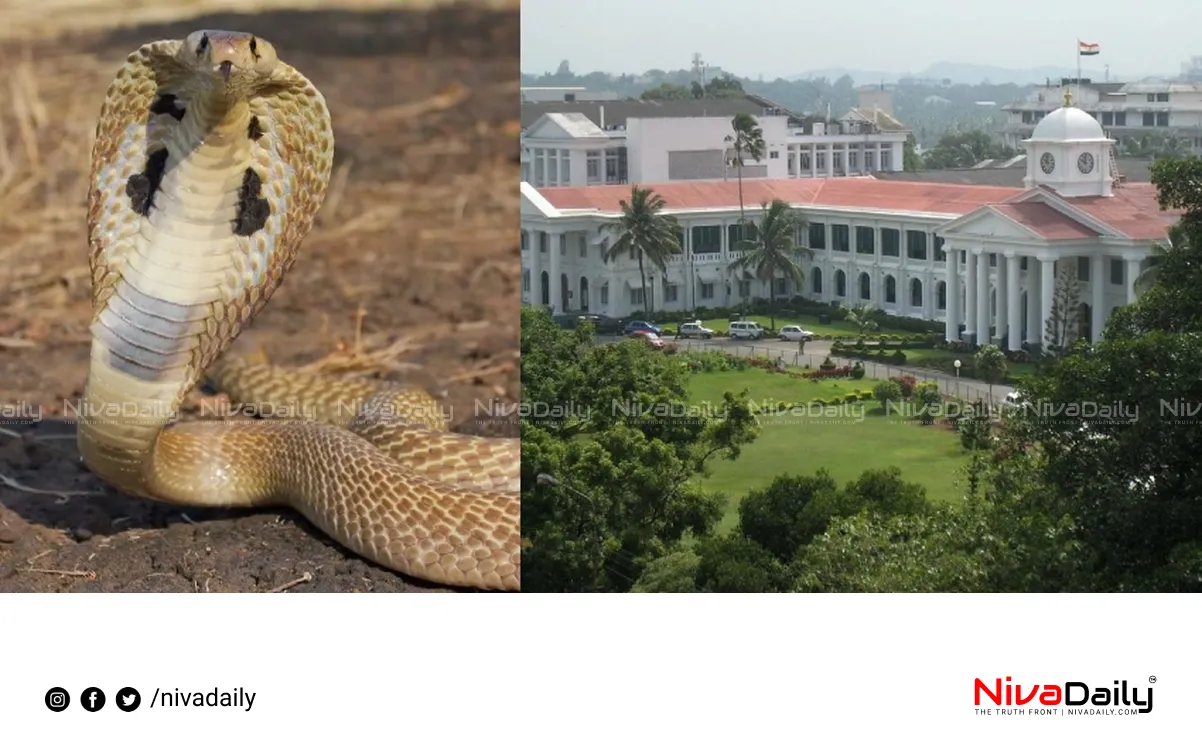 Snake in Thiruvananthapuram Secretariat