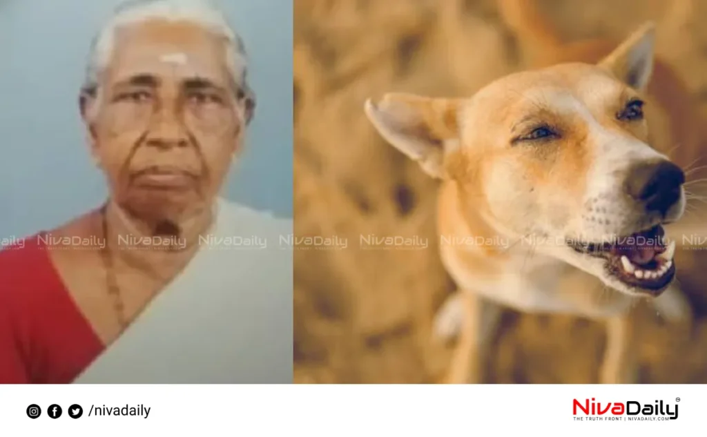 elderly woman killed stray dog Alappuzha