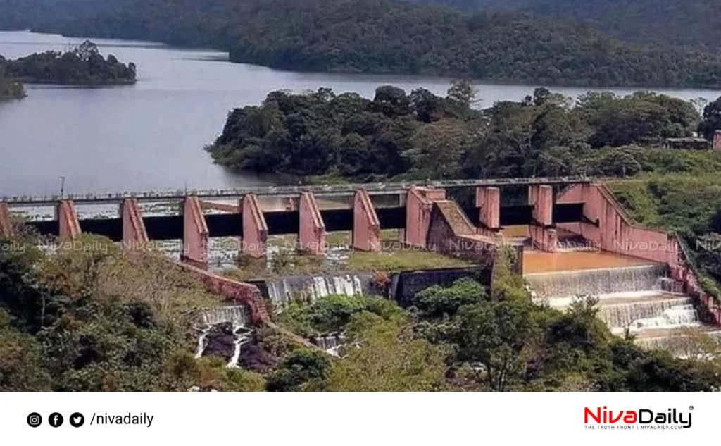 Mullaperiyar Dam repairs