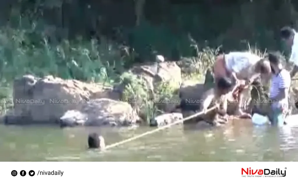 Erinjippuzha drowning incident