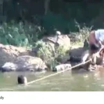 Erinjippuzha drowning incident