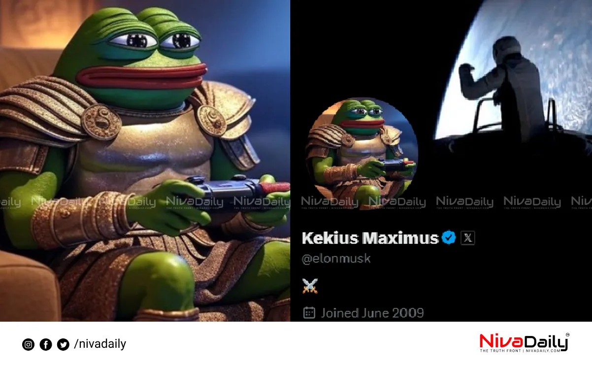 Elon Musk X profile change