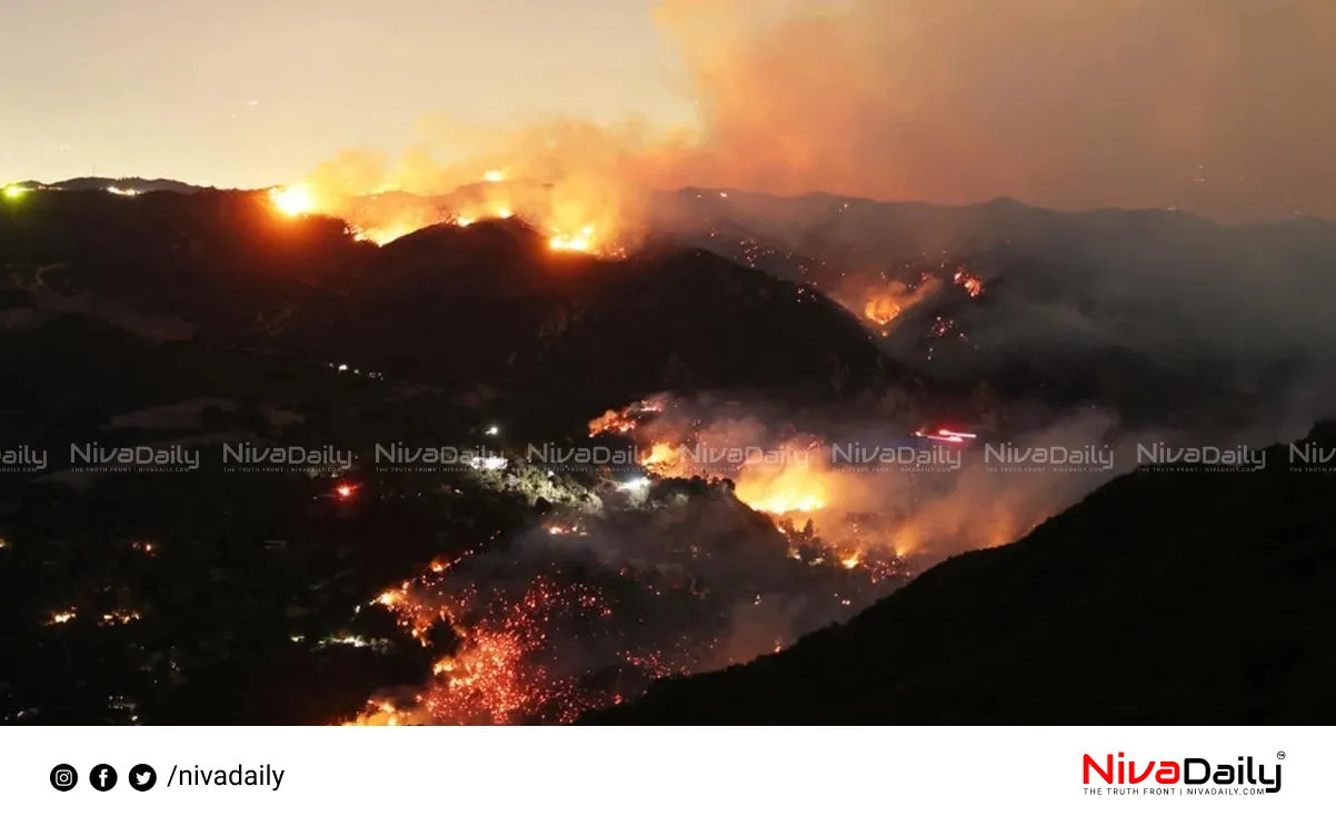 Los Angeles Wildfires