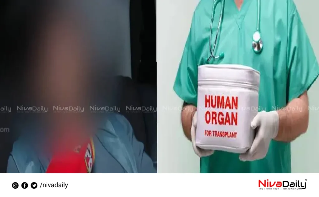 Organ Trafficking