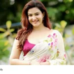 Honey Rose Facebook comments case