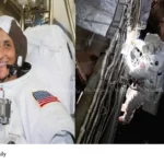 Sunita Williams