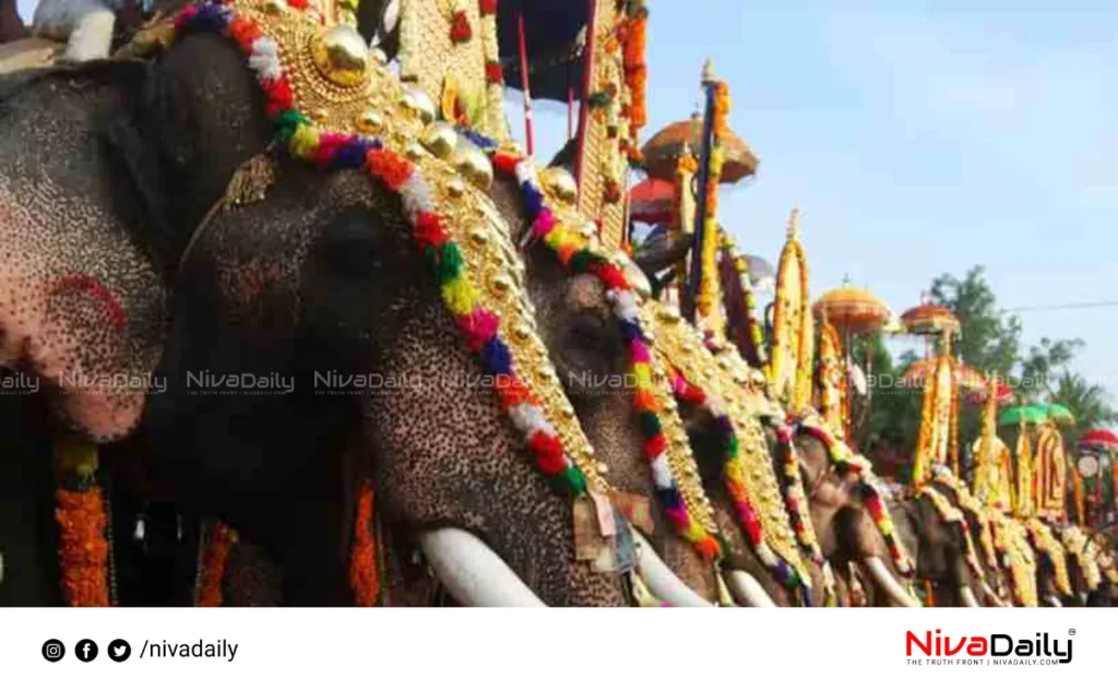 Elephant Procession Restrictions