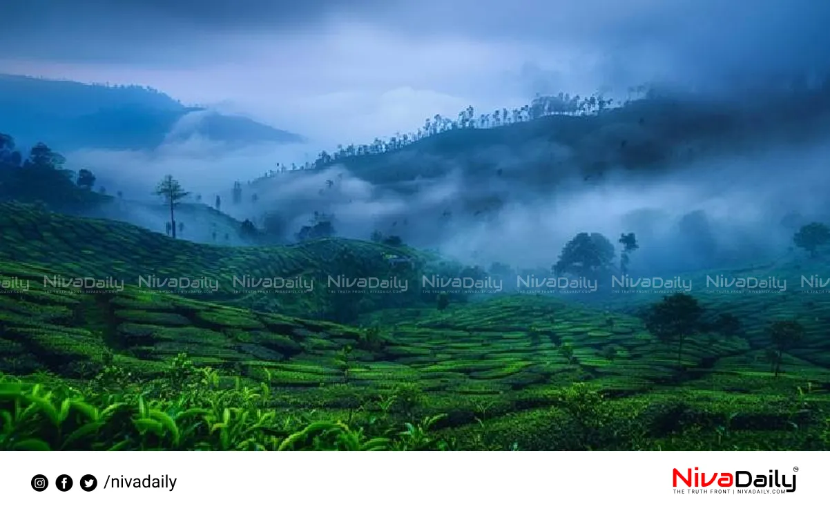 Munnar Weather