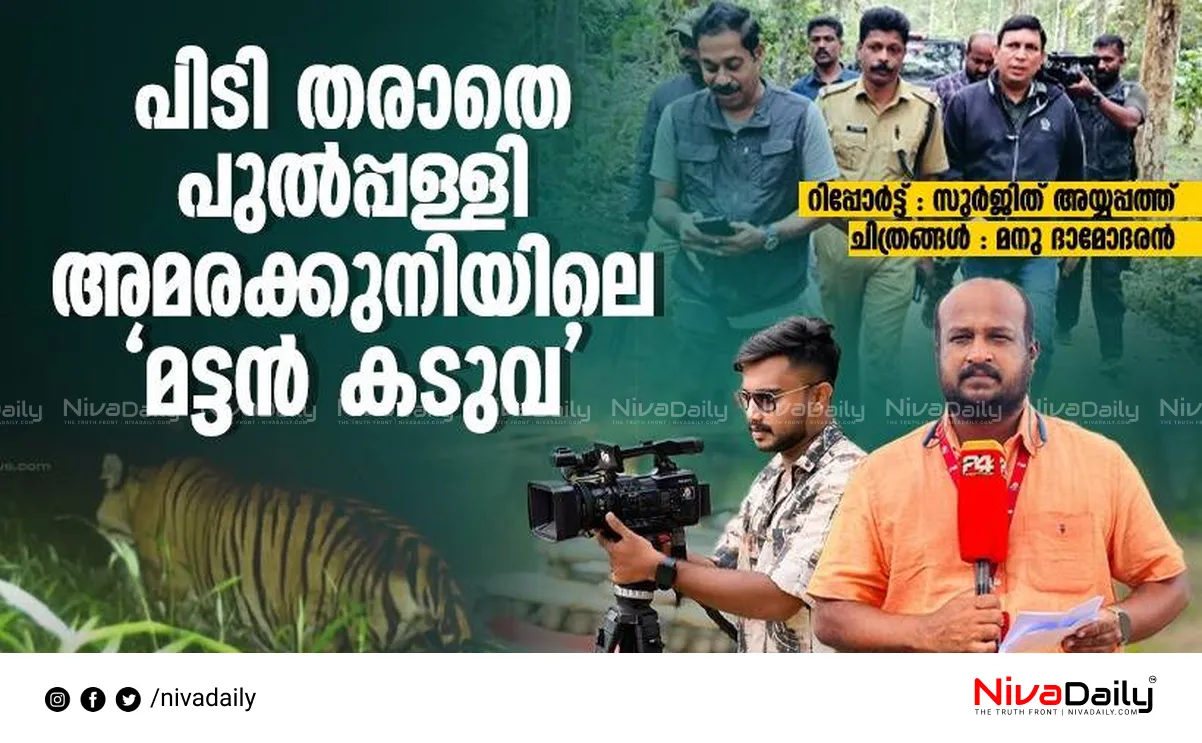 Wayanad Tiger