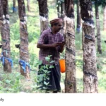 Kerala Rubber Farmers