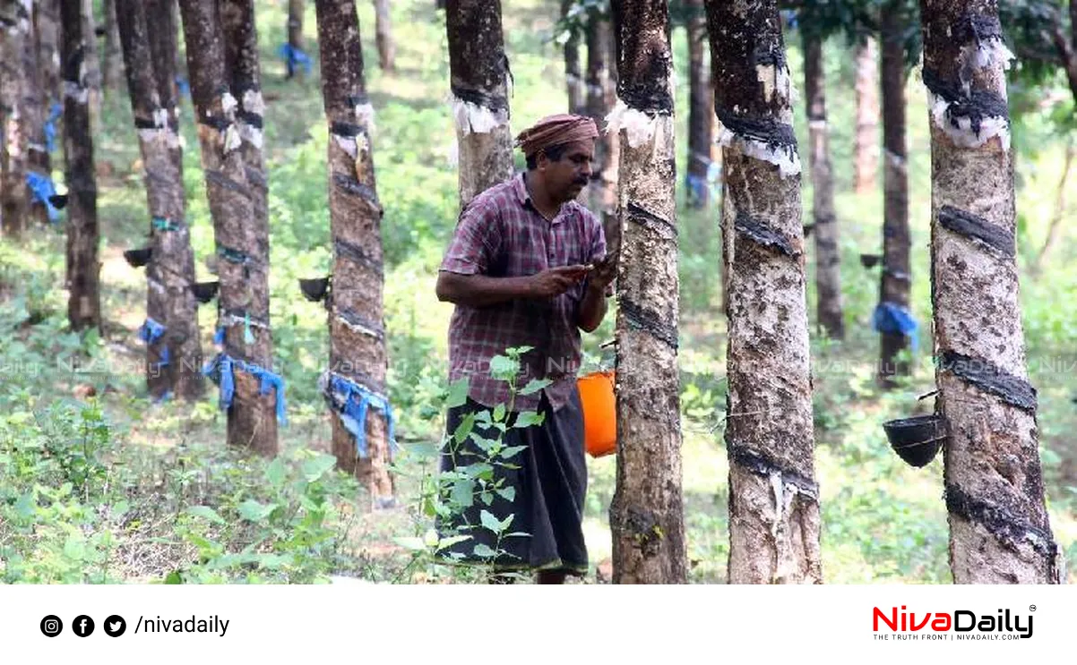 Kerala Rubber Farmers