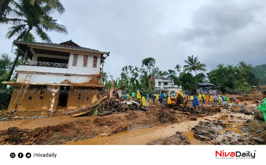 Wayanad landslide rehabilitation