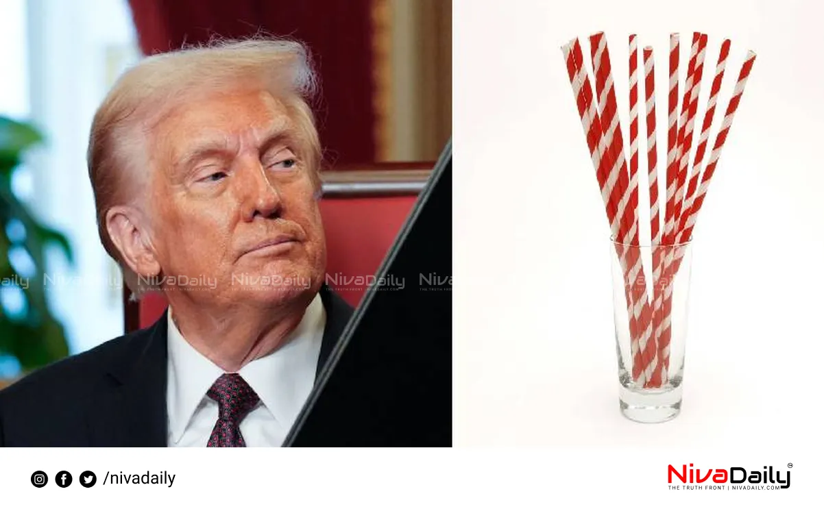 Plastic Straws