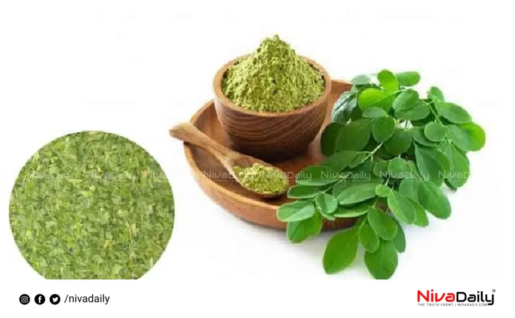 Moringa Powder